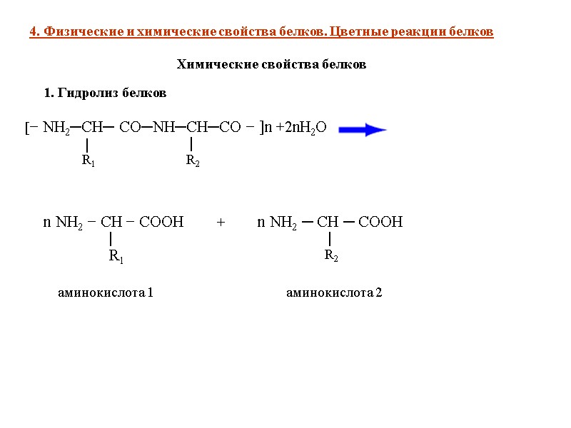 1. Гидролиз белков           